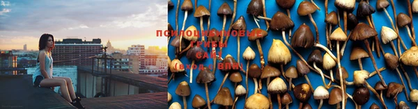 mdma Нефтекумск