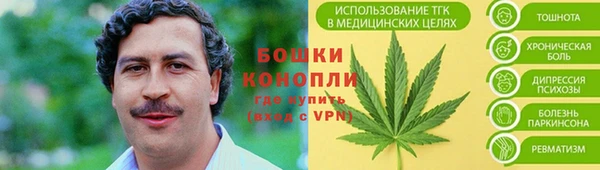 соль ск Нея