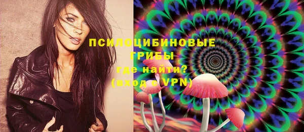соль ск Нея