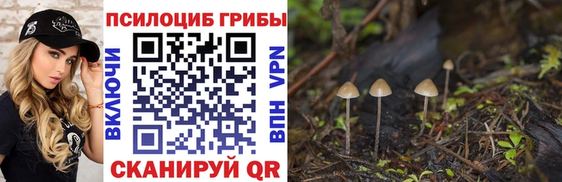 Псилоцибиновые грибы Magic Shrooms Щёкино