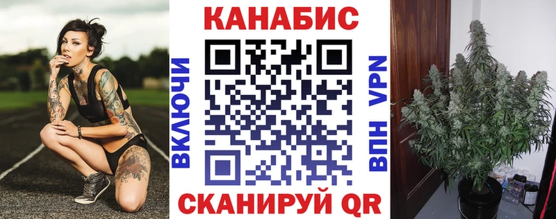 мориарти клад  Щёкино  Канабис SATIVA & INDICA  сколько стоит 